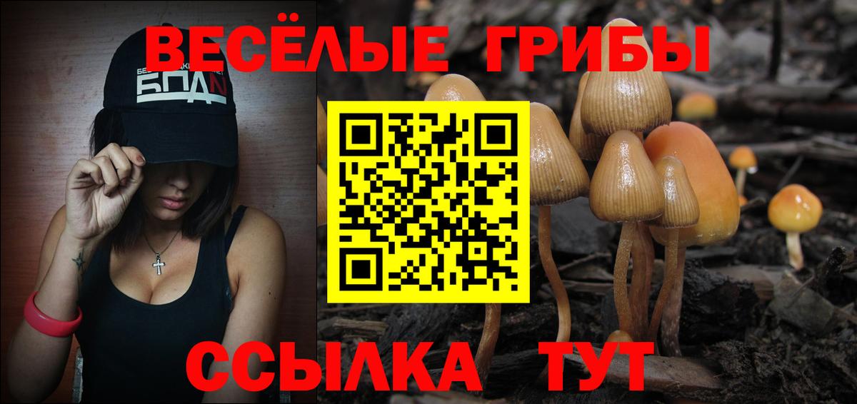 Галлюциногенные грибы GOLDEN TEACHER Строитель